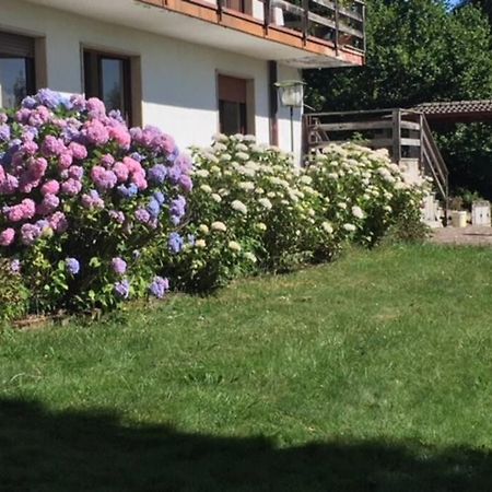Villa Immersa Nel Verde A Lanzo dʼIntelvi Dış mekan fotoğraf