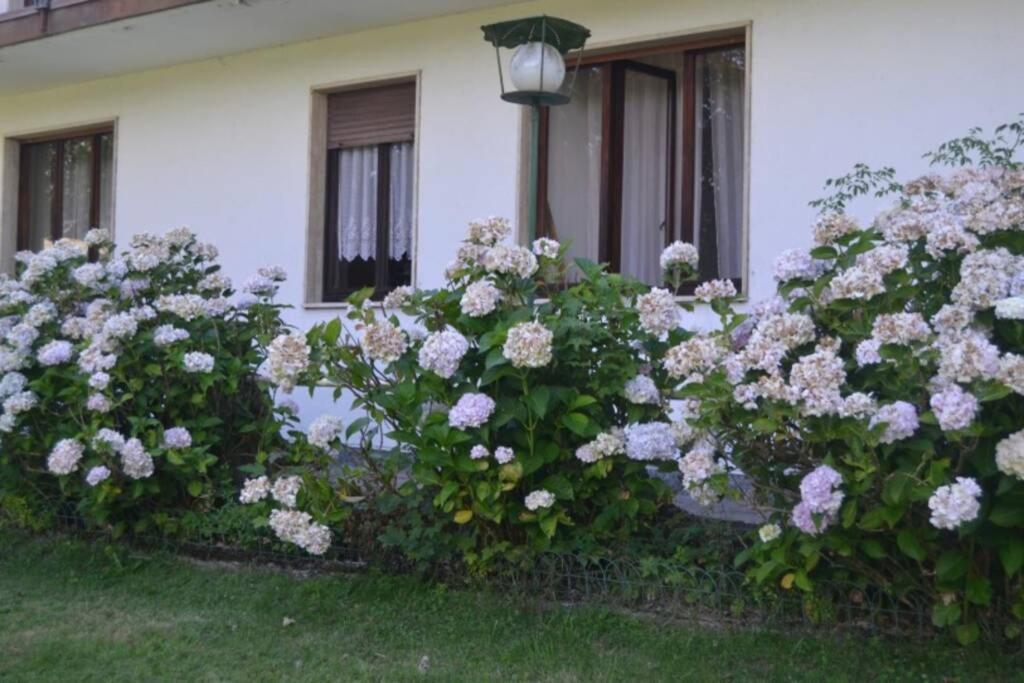 Villa Immersa Nel Verde A Lanzo dʼIntelvi Dış mekan fotoğraf
